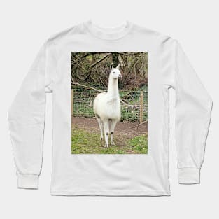 White Llama Long Sleeve T-Shirt